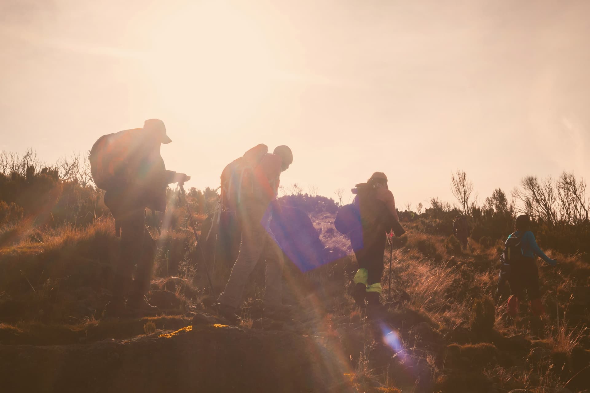 Mount Kenya Trekking Expedition